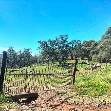 Casa Rural Alicia Cortegana Εξωτερικό φωτογραφία