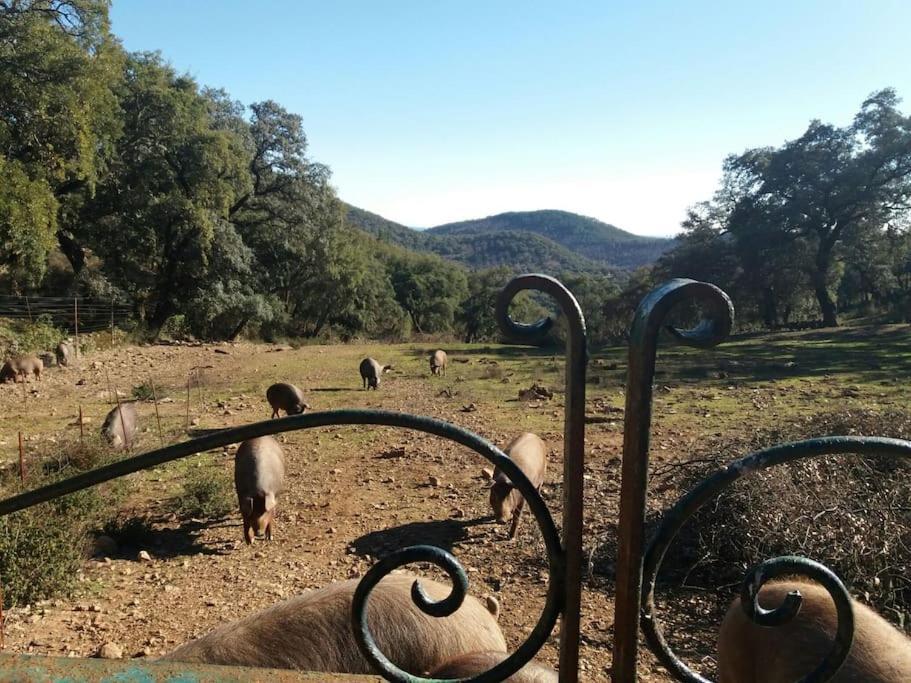 Casa Rural Alicia Cortegana Εξωτερικό φωτογραφία