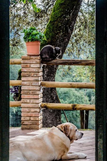 Casa Rural Alicia Cortegana Εξωτερικό φωτογραφία