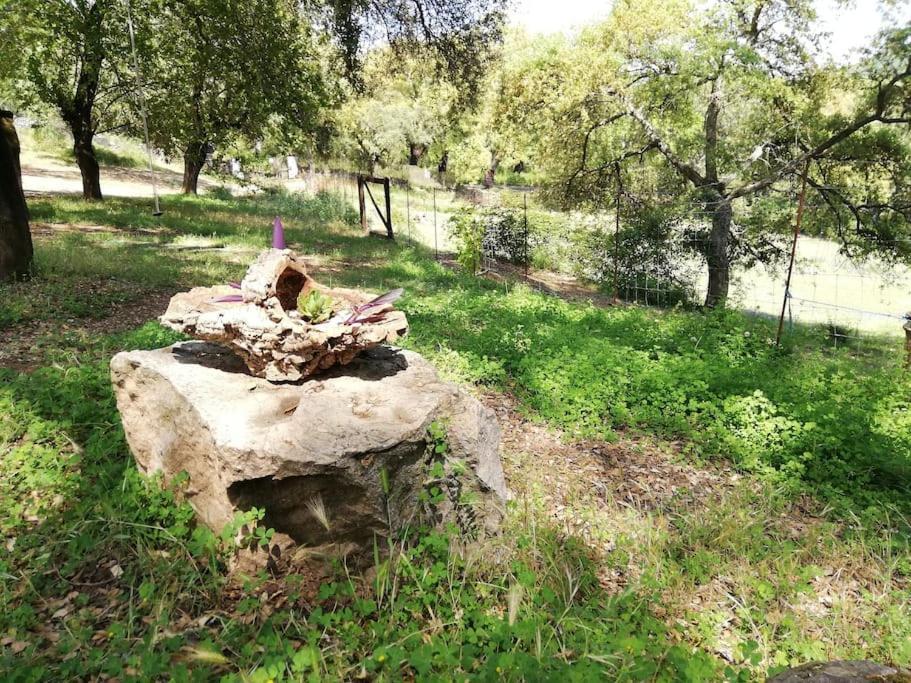 Casa Rural Alicia Cortegana Εξωτερικό φωτογραφία