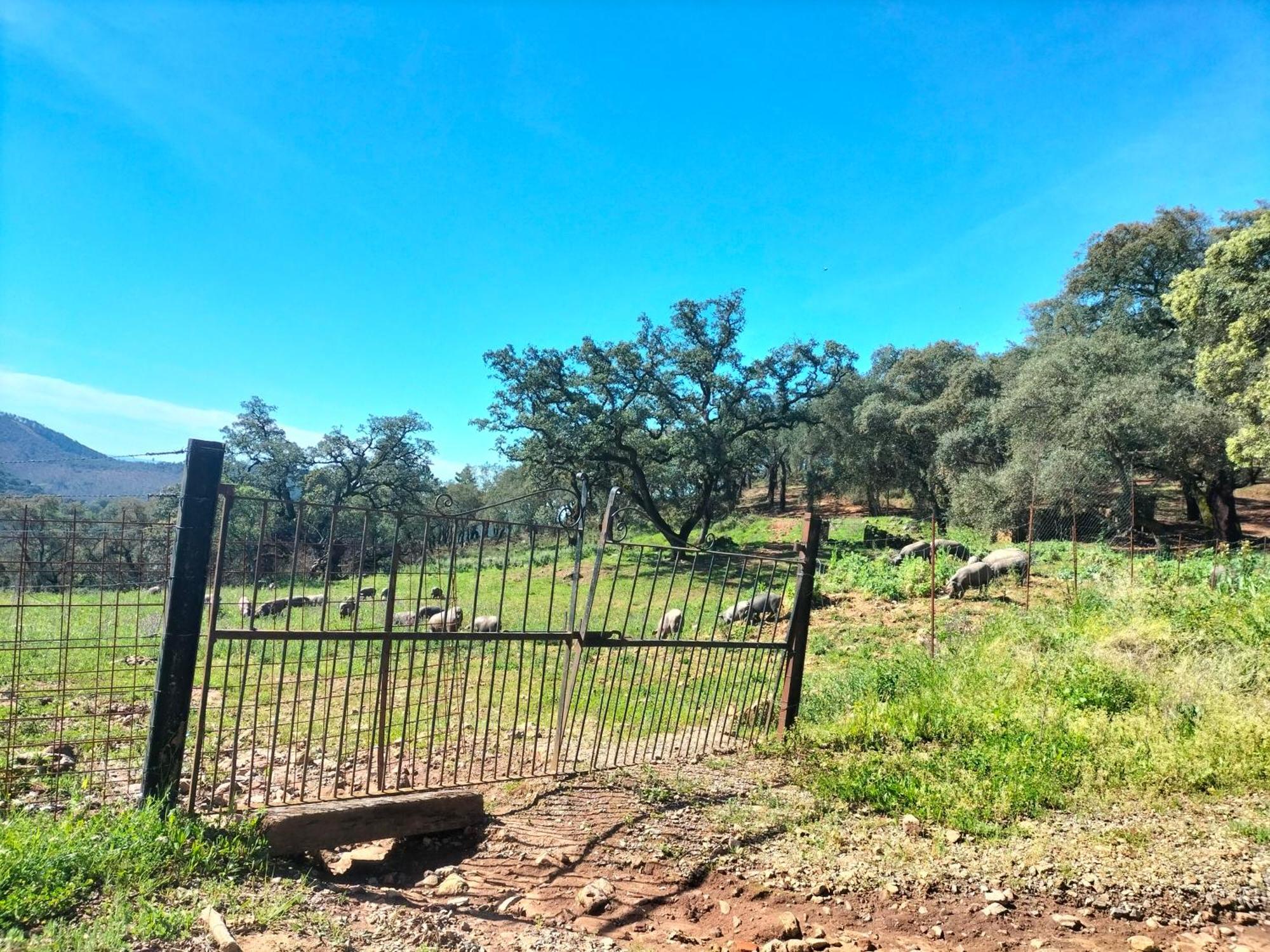 Casa Rural Alicia Cortegana Εξωτερικό φωτογραφία